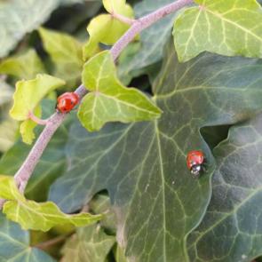 ����: �������� ������