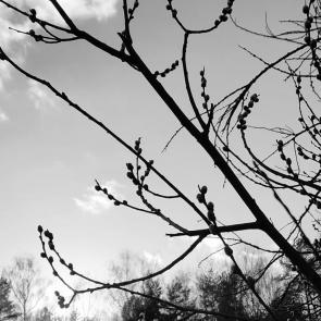 ���� ��������: 