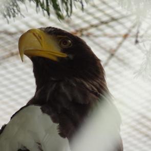 �������� ������