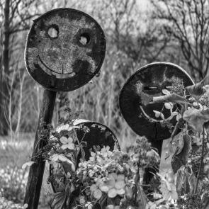 ���� ��������: 