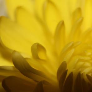 ����: � ������