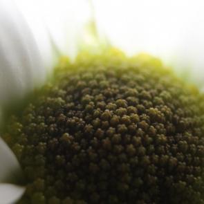 ����: ��������� ���