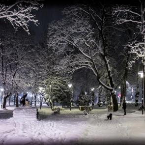 ����: ����������� ����