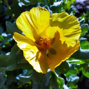 ����� �������� � ������� �����