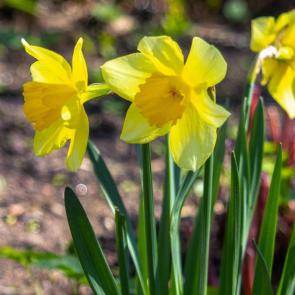 ����: �����. ��������