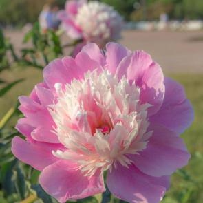 ���������� ������