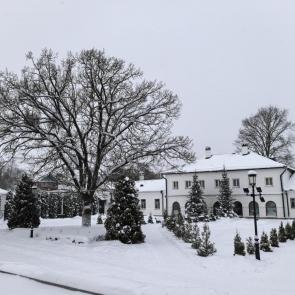 ����: ���������� ������� ���������