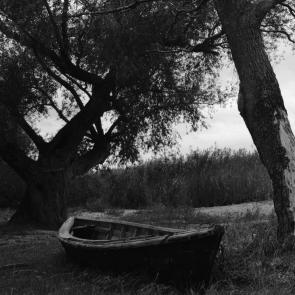 ����: �����