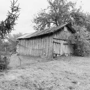 ����: ����� 