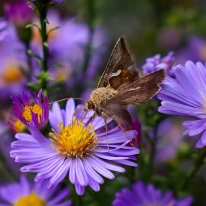 ����: ������� ���� ����� � �����