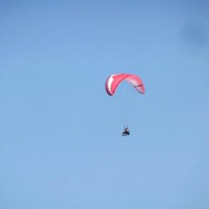 ����: �������� ����������