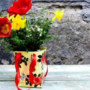 ����: ������� 