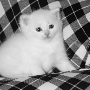 ����: � ������ ����� ������