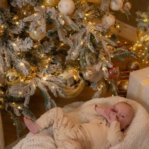 ����: ���������