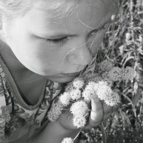 ����: ���������