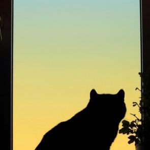 ����: ����� �� ������