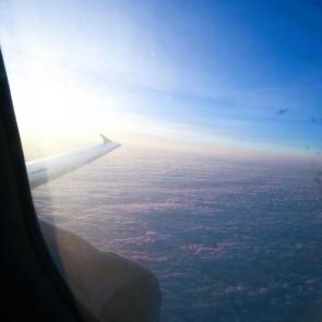 ����: ����������� ����