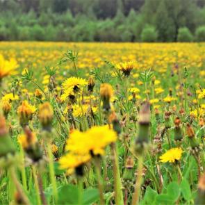 ����: ���������� ������ ����������