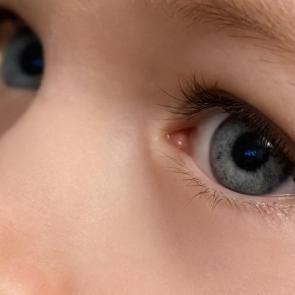 ����: ����� ������� ����