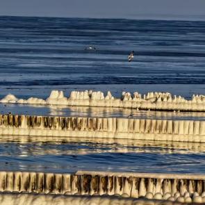 ����: ��������� ����������� ����