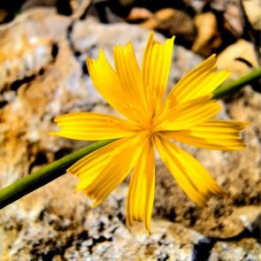 ����: Ƹ���� ������