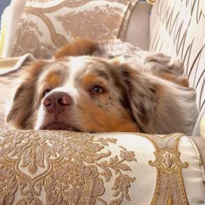 ����: ������� �����