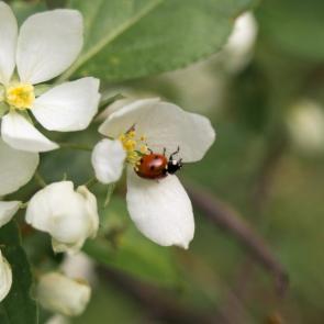 ����: ����� �������