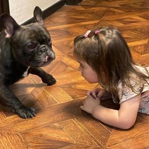 ����: ��������