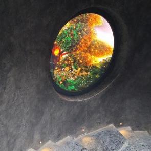 ����: �������� ����