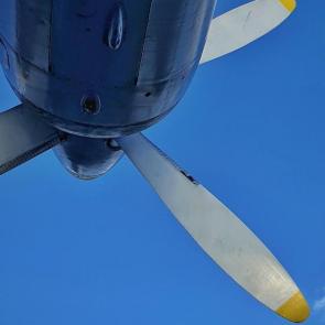 ����: ������-�������