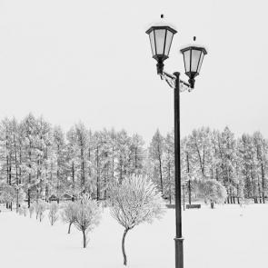 ����: � ����� 