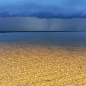 ����: ����� ������ 