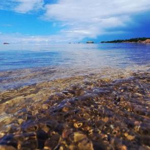 ����: ������������ 