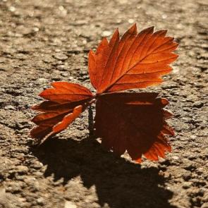 ����: � ����� ������ 