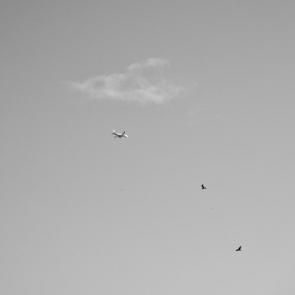 ����: � ������� 