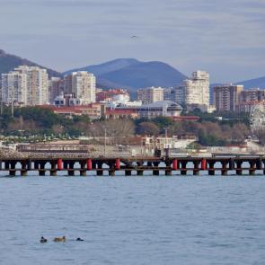 ����: ���������