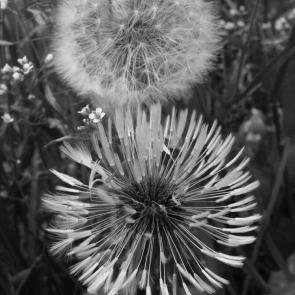 ����: ����������