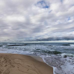 ����: �������, ����� �������