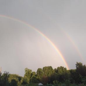 ����: ������� ������