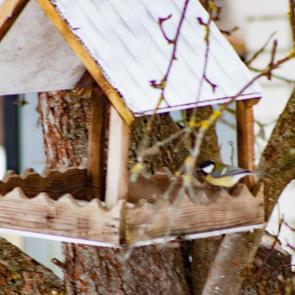 ����: ����� ���� ��������� 