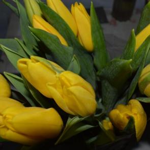 ����: Ƹ���� ��������