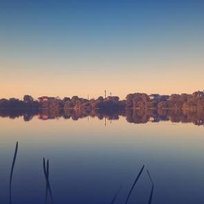 ����: �������