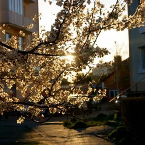 ����: ����� ����� �� ������