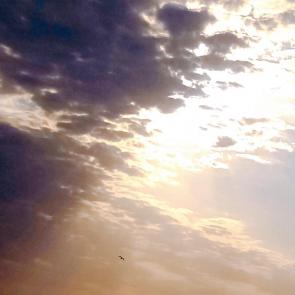 ����: ����� ������