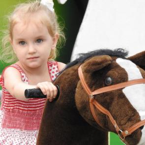 ����: �������