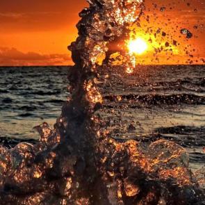 ����: ������ �����������