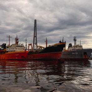 ����: � �������