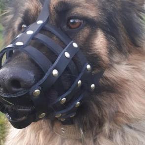 ����: ����������....