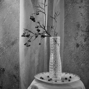 ����: ����� � �������