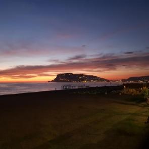 ����: ����� ������